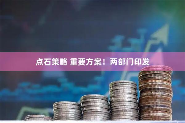 点石策略 重要方案！两部门印发