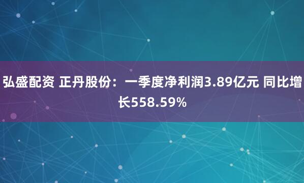 弘盛配资 正丹股份：一季度净利润3.89亿元 同比增长558.59%