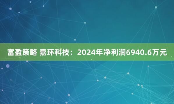 富盈策略 嘉环科技：2024年净利润6940.6万元