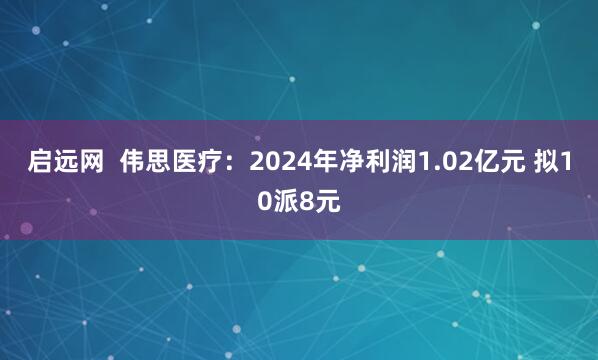 启远网  伟思医疗：2024年净利润1.02亿元 拟10派8元
